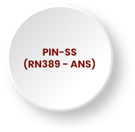 PIN-SS RN 389